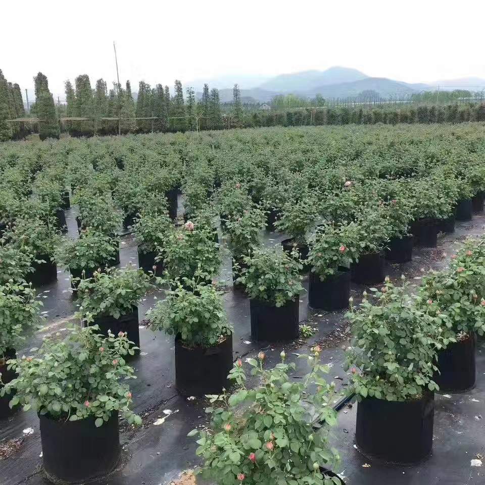 Bolsas de Cultivo Ecológicas (Pack 5 bolsas)